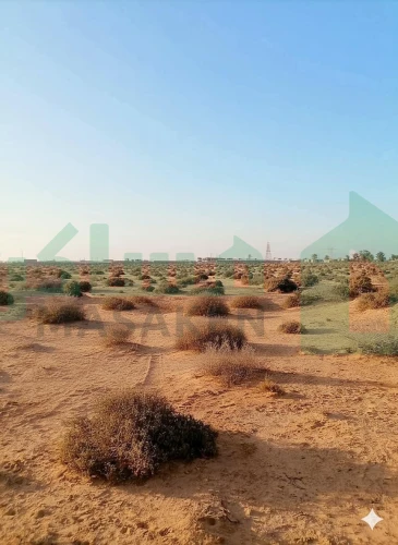 أرض للبيع