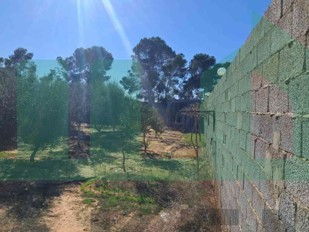 Second image of the ad