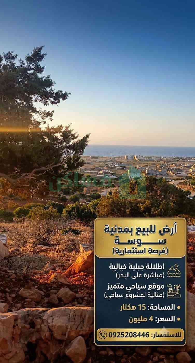 Second image of the ad