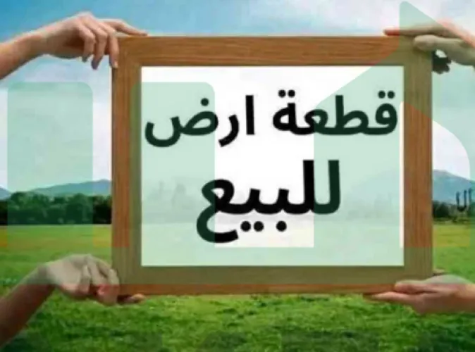 #ارباع هكتار #للبيع في #منطقة الظهير #