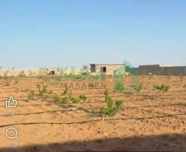 مزرعة 50×100...في باب الزيتون طريق ساق الغرنوق