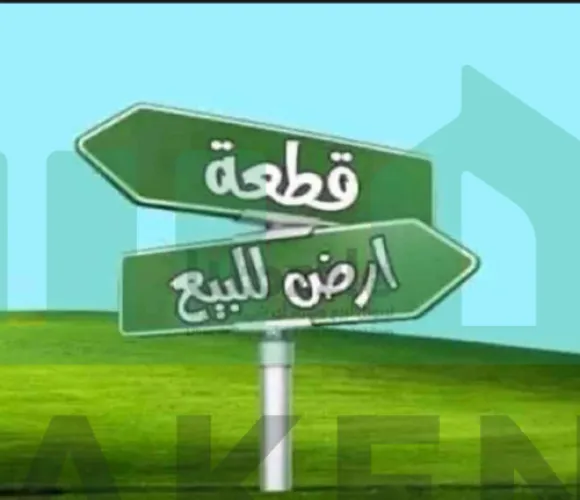 قطعة_أرض_للبيع
#مساحتها500 #متر عين زاره