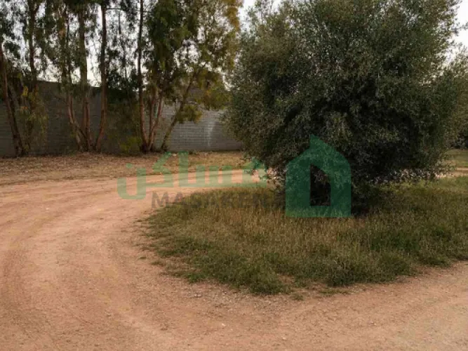 قطعة أرض سكنية للبيع في القوارشة (موقع راقٍ ومكتمل