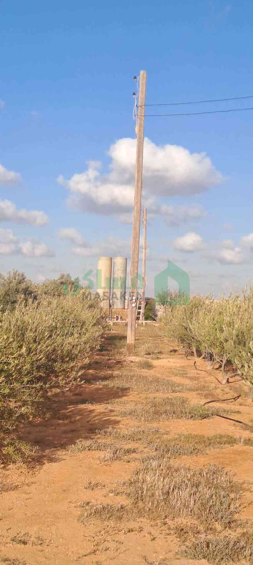 ✅️مزرعة نص هكتار في بودريسة 📍#بنغازي