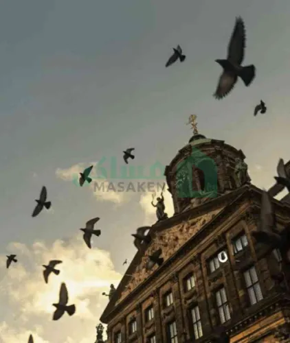 شقه ايجار   بلقرب من جزيرة الزروق