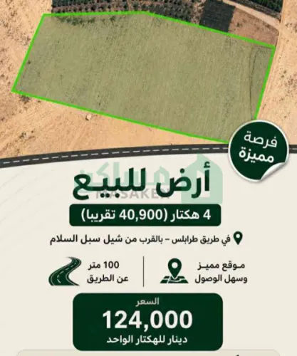 أرض بمساحة 4 هكتار
الموقع سبها قرب شيل سبل السلام