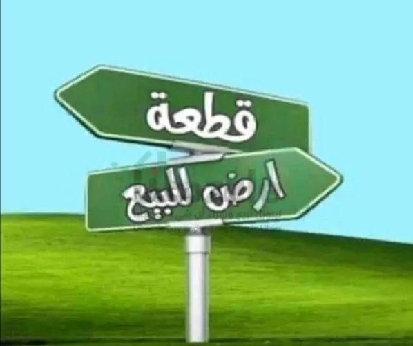 قطعه أرض مسجله نهايه شارع الدجاج
