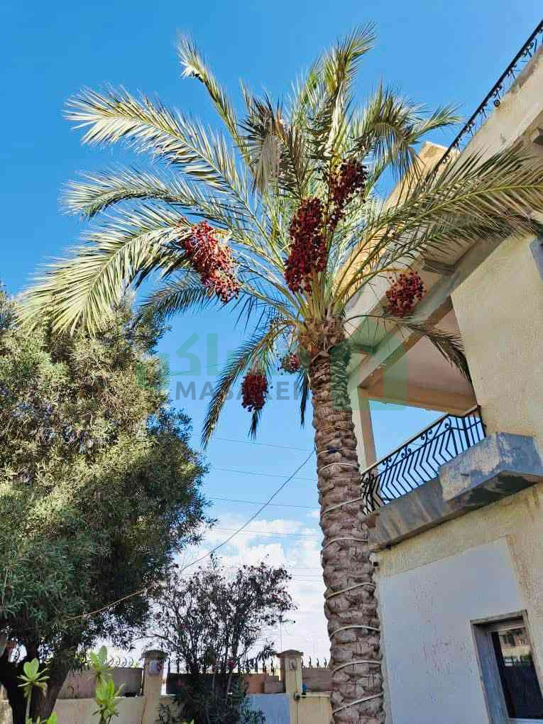 First image of the ad