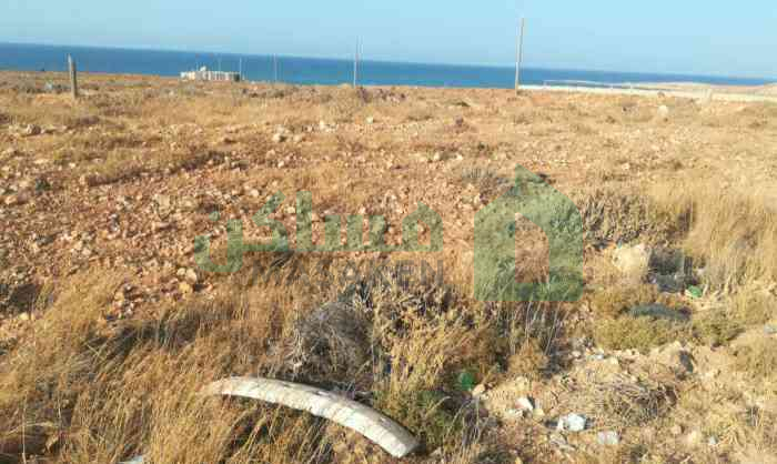 First image of the ad