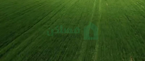 ارض اللايجار