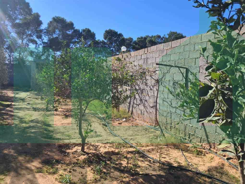 Third image of the ad