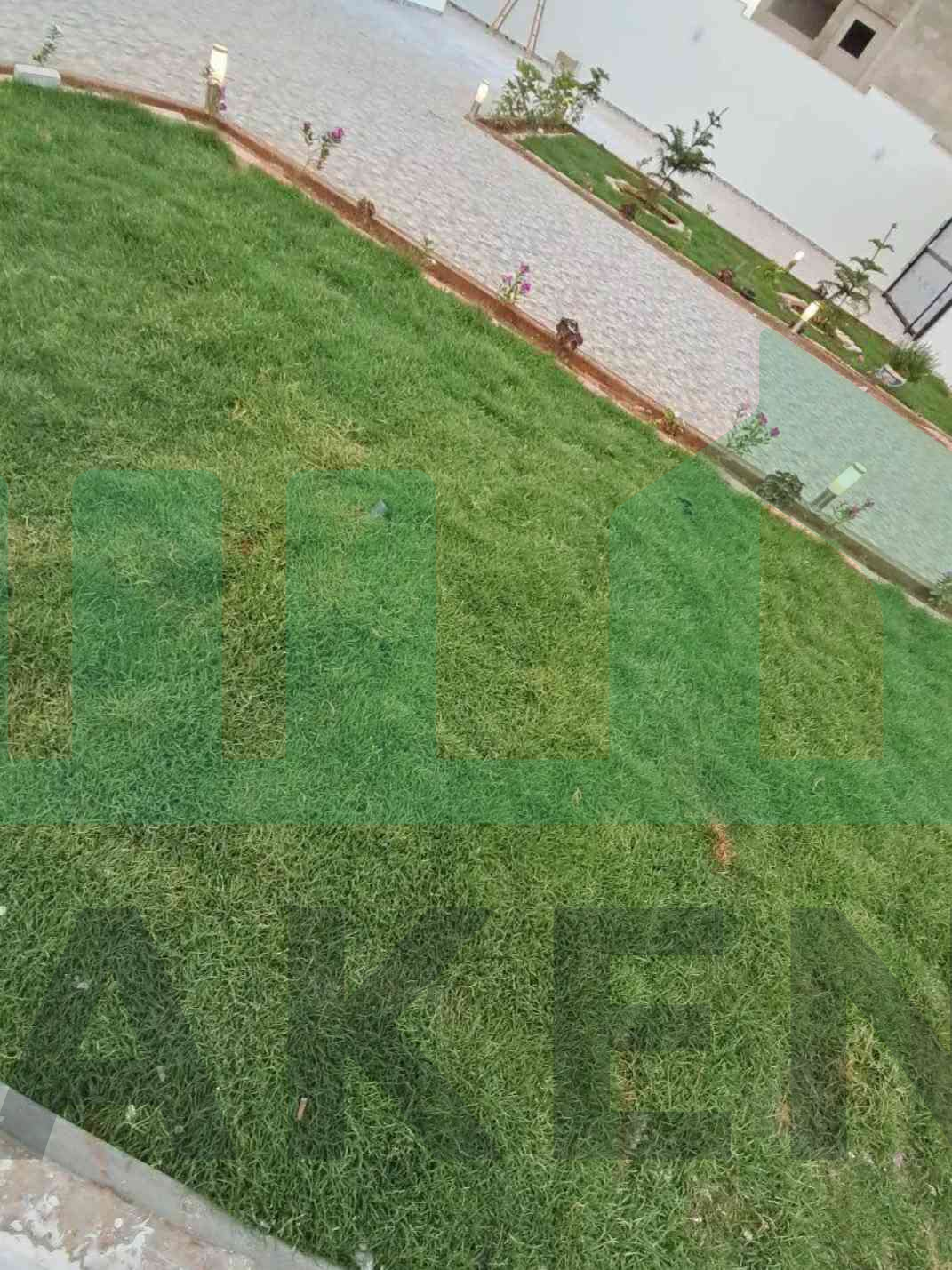 Second image of the ad