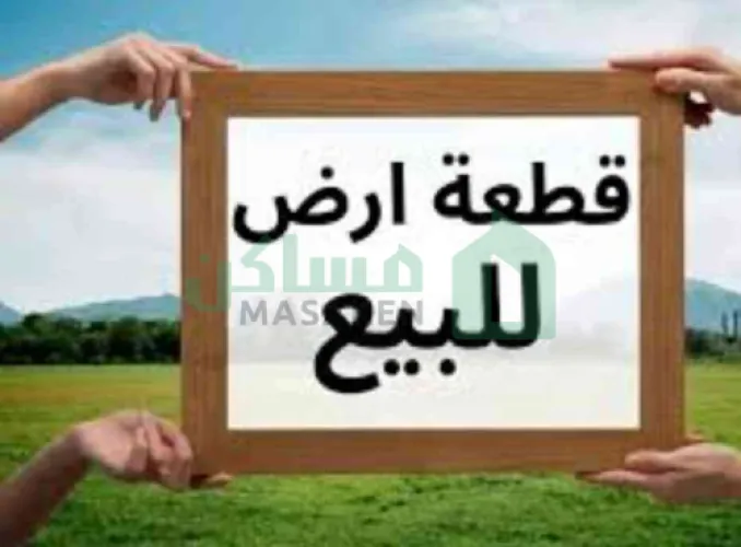 � أرض في بوهادي ع الرئيسي – للبيع

مساحة: 3000 متر