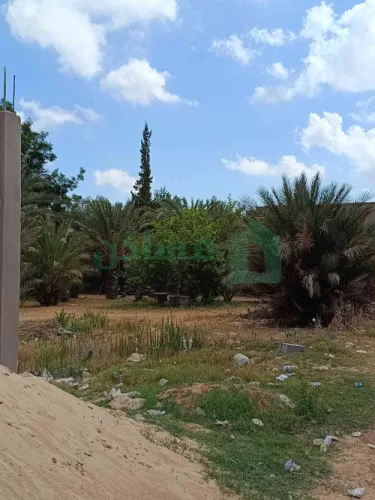 للبيع قطعه ارض 500متر خلف الدوبلوماسي مول