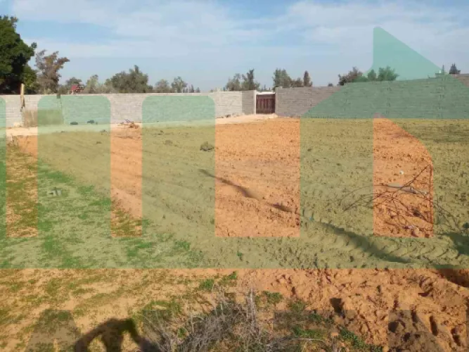 للبيع  أرض مساحتها 1000 متر في وادي الربيع