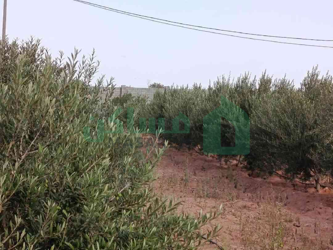 قطعه ارض