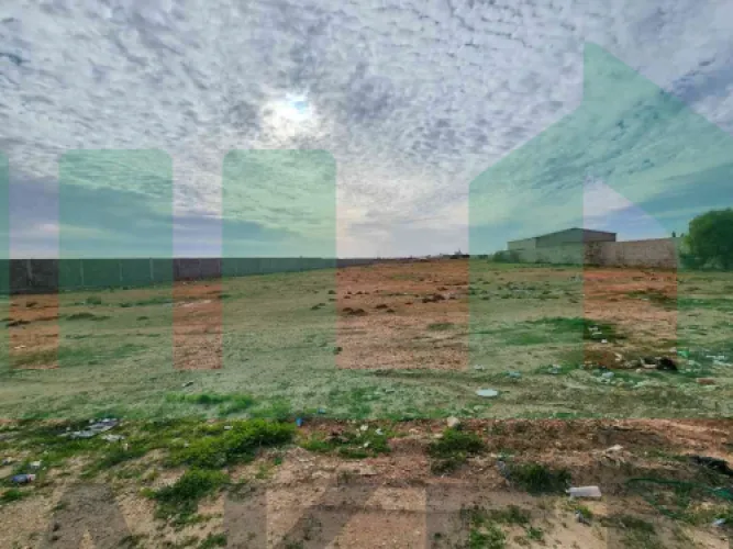 ■ هكتار في الطلحيه علي الرئيسي مباشرة علي 3 شوراع